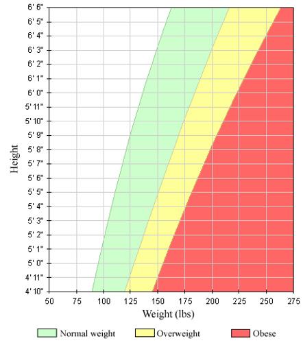 height weight chart for women. BMI chart for women and men