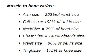 Chest To Waist Ratio Chart