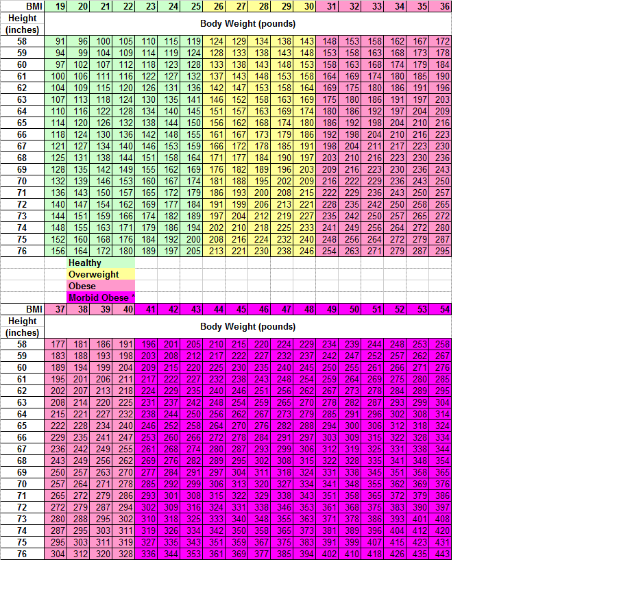 Body Mass Index Chart Metric