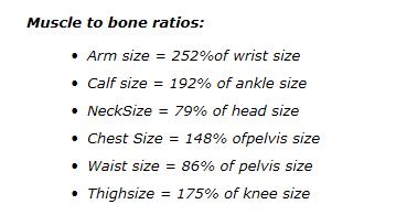 Ideal Body Measurements For Men