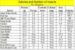 Insect Nutrition and Calories