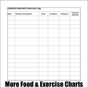 Free printable exercise charts.