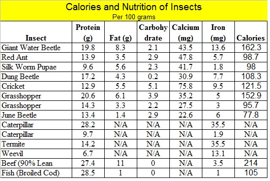Calculated calories of insects based on protein fat and carbs