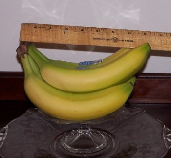 Ruler showing length of average banana