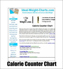 My calorie counter chart page.