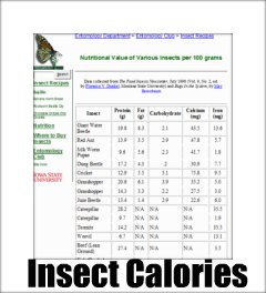 A Fun chart of how many calories and nutrition in insects.