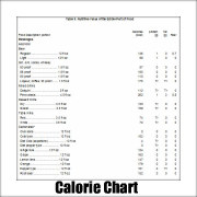 Food Calorie Counter Chart