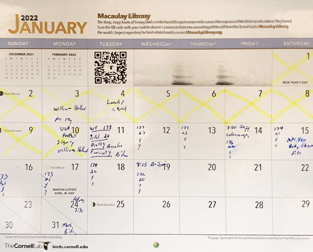my weight loss calendar