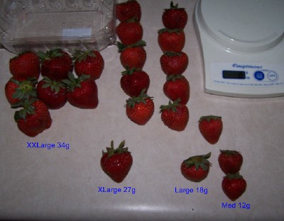 A pack of strawberries divided by size