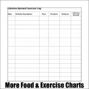 Free printable exercise charts.