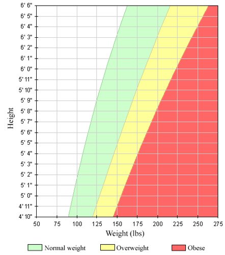 BMI chart for women and men
