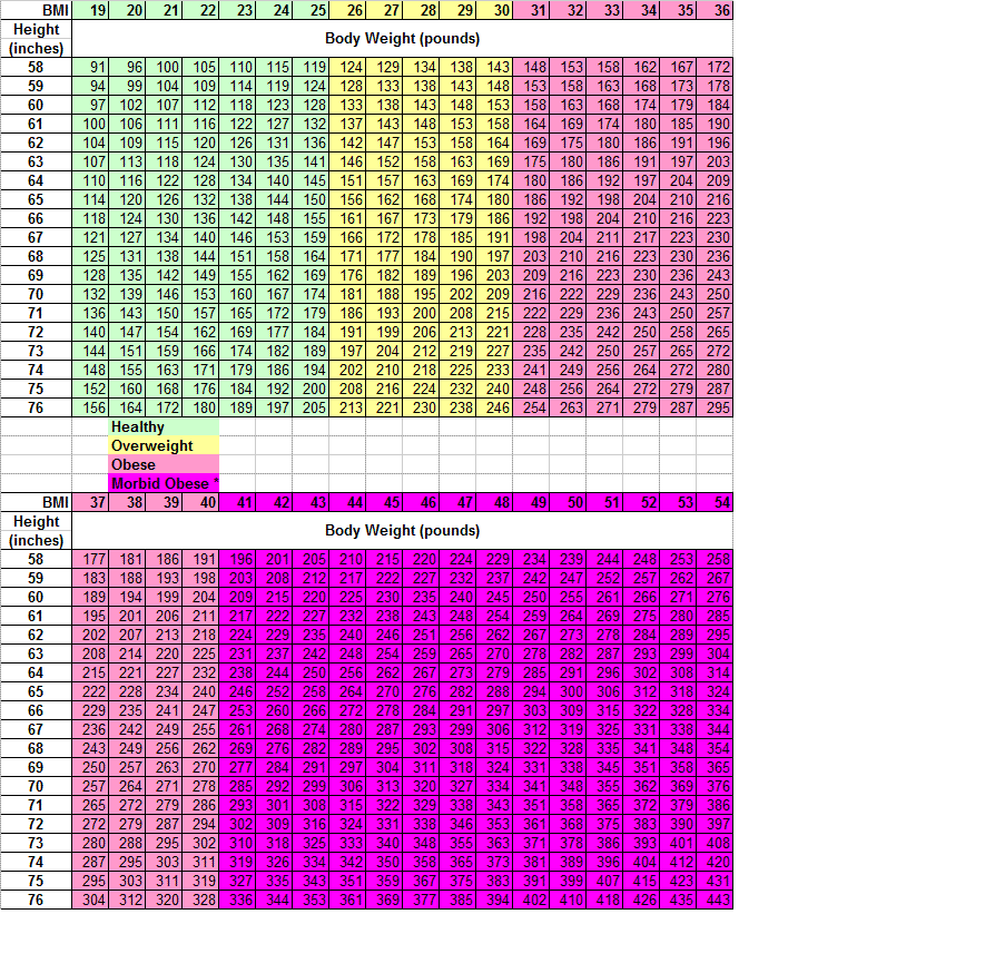 Body Mass Index Chart with categories for morbid obese, obese, overweight, and healthy.