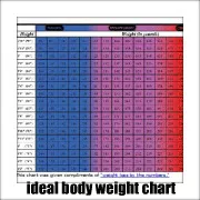 ideal body weight chart
