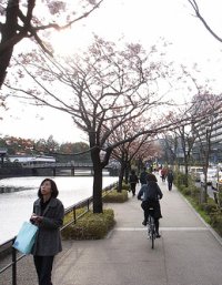 People running while sightseeing